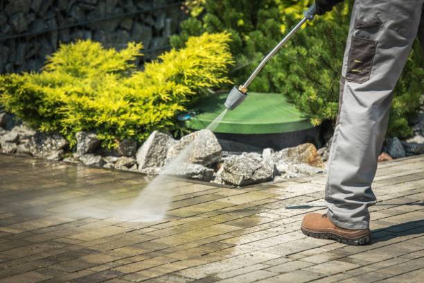 Best Roof Cleaning and Mildew Removal in Old River Winfree, TX
